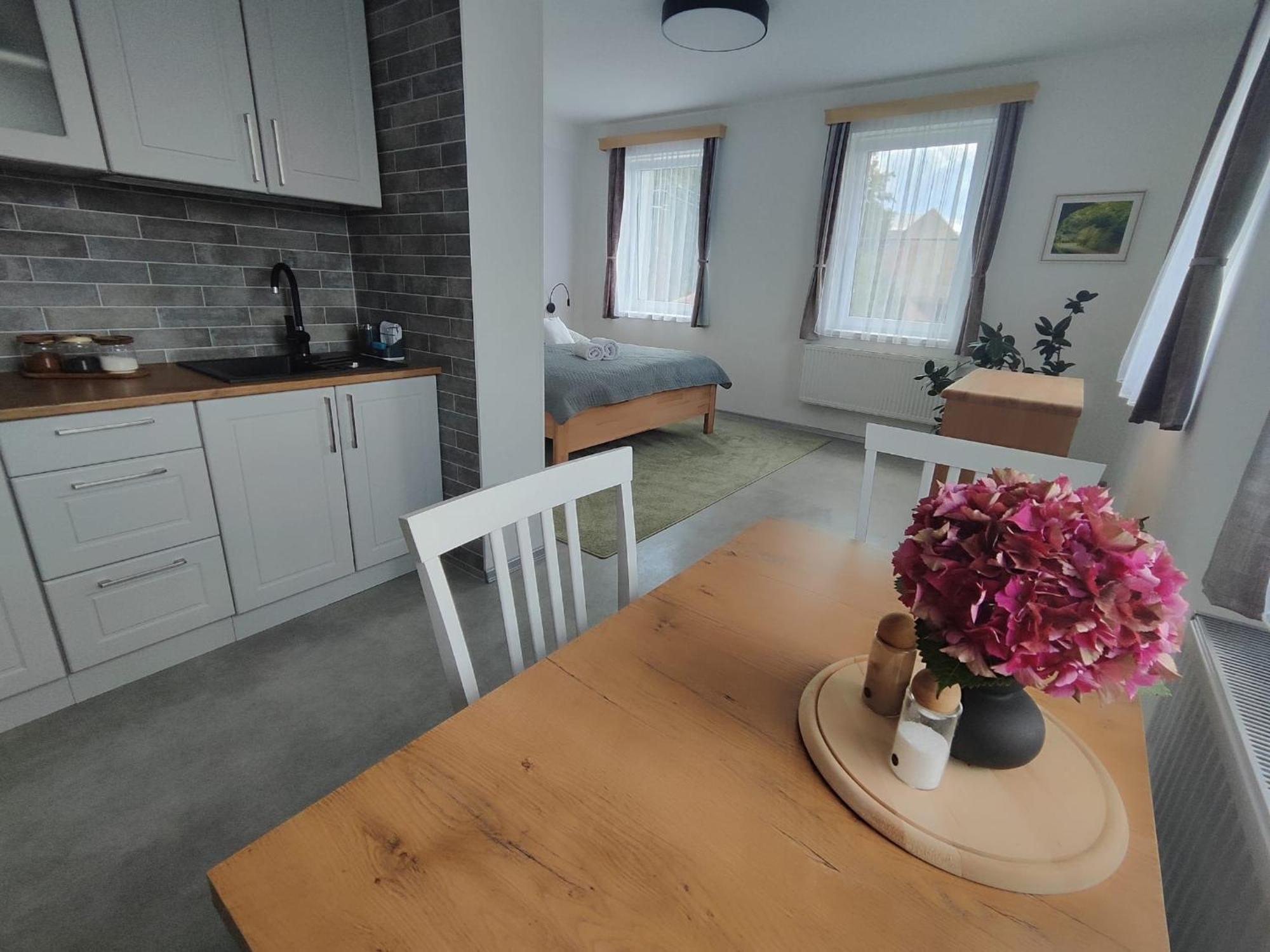 Apartmán Goliáš Krásná Lípa Esterno foto